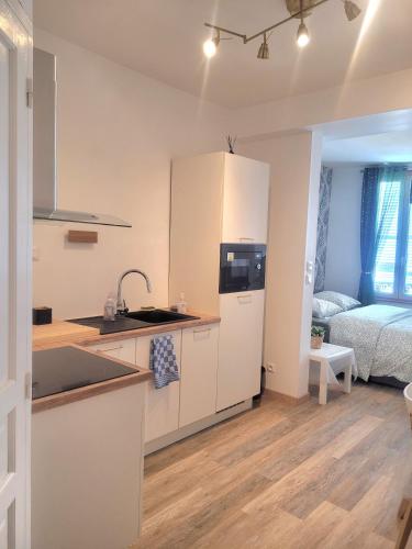 une cuisine avec un évier et un plan de travail dans l'établissement Le Paséo, à Troyes