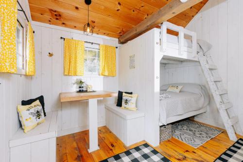 a bedroom with a bunk bed and a ladder at Battenkill Glamping Resort in Cambridge
