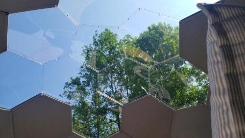 a view of a tree through a glass wall at Battenkill Glamping Resort in Cambridge