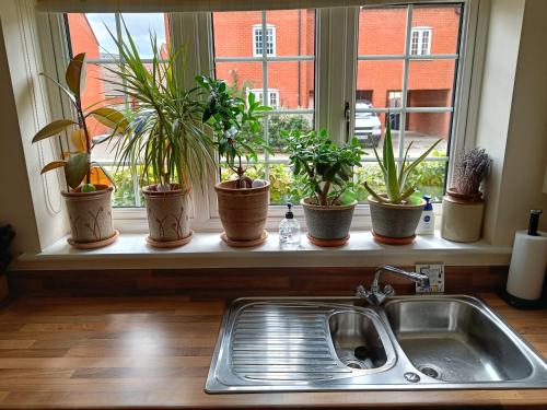 a kitchen window with potted plants on a window sill at 3 bedroom townhouse near Bicester Village in Bicester