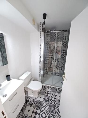 une salle de bain avec une douche, des toilettes et un lavabo dans l'établissement Appartement 2 personnes Lyon Sans Souci, à Lyon
