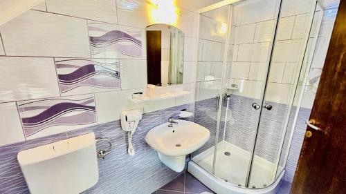 La salle de bains est pourvue d'un lavabo, de toilettes et d'une douche. dans l'établissement Casa Dintre Vai, à Şimon