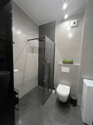 y baño con ducha y aseo. en Apartament Nova Klonova en Kielce