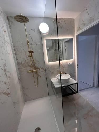 une salle de bain avec douche et lavabo dans l'établissement Esprit Panthère, à Mulhouse