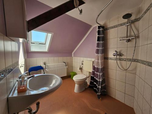 ein Bad mit einem Waschbecken und einem WC in der Unterkunft Pension Zur Kutscherstube in Colditz