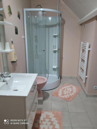 a bathroom with a shower and a toilet and a sink at La case 