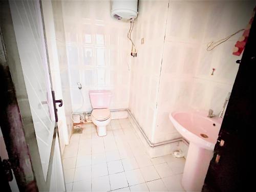 La petite salle de bains est pourvue de toilettes et d'un lavabo. dans l'établissement قرية منيه فايد بكسفريت, 