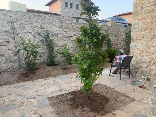 a small tree in a yard next to a stone wall at Rustic Modern Patio Home With Shared Pool in Kırıkyayla