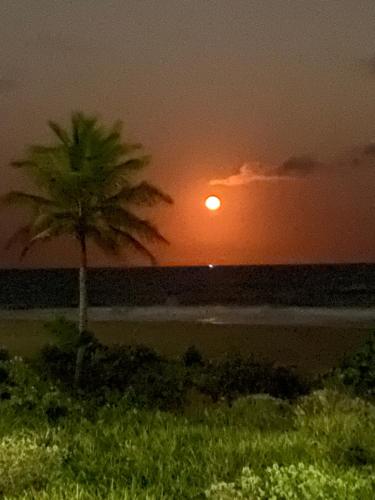 a palm tree in front of the ocean with the sunset at Refúgio do Corsário-Imbassai-Ba in Imbassai