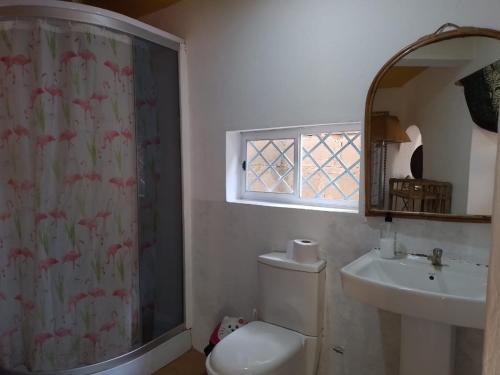 a bathroom with a toilet and a sink and a mirror at Kokrobite Gardens Restaurant and Guest House in Kokrobite