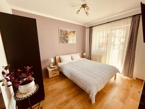 Lova arba lovos apgyvendinimo įstaigoje Apartament Sofia