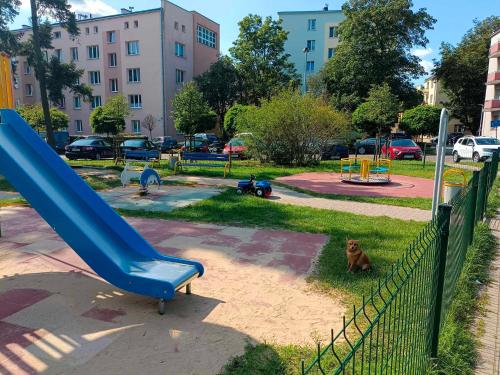 a playground with a slide and a dog sitting in the grass at Odrodzenia 7 in Toruń