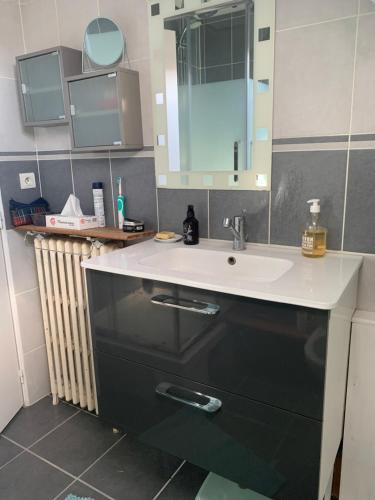 bagno con lavandino, specchio e radiatore di Chambre cosy à Houilles a Houilles