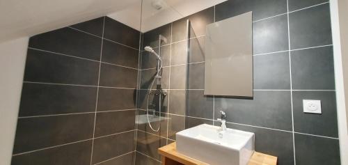 un baño con lavabo y ducha en Maison de la Lionne, en Luchon