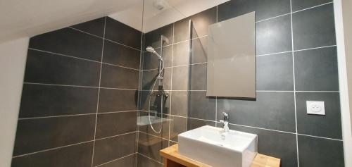 a bathroom with a sink and a shower at Maison de la Lionne in Luchon