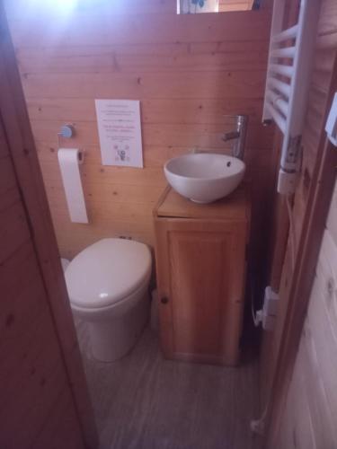 a small bathroom with a toilet and a sink at Roulotte in Marnefer