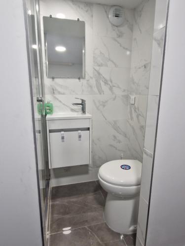 La salle de bains est pourvue de toilettes blanches et d'un lavabo. dans l'établissement L'auberge de Sucy, à Sucy-en-Brie