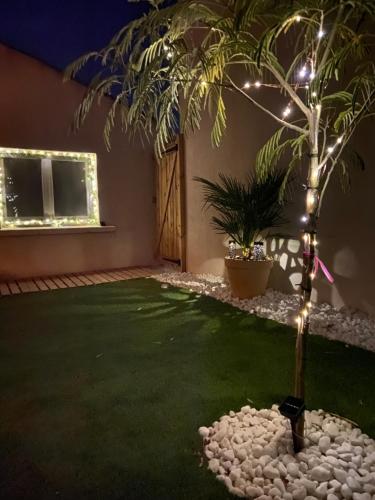 un jardín con una palmera en un patio con luces en Tiny Harmony - Logement confortable avec jardin et jacuzzi privés près d’Aix en Provence, en Venelles