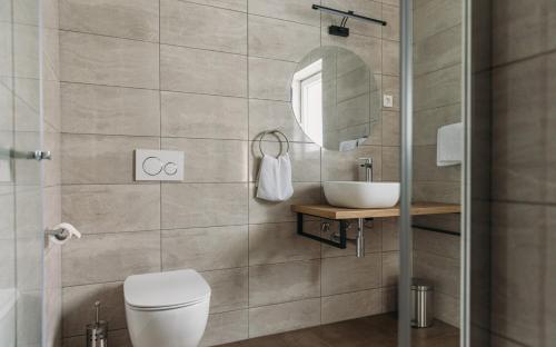 a bathroom with a toilet and a sink and a mirror at Hiša na Ravnah in Pišece