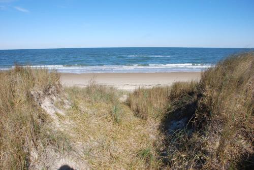 ein Sandstrand mit dem Meer im Hintergrund in der Unterkunft Beach Lovers Delight cottage in North Camellia Acres