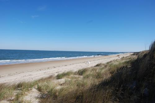 Blick auf den Strand mit dem Meer im Hintergrund in der Unterkunft Beach Lovers Delight cottage in North Camellia Acres