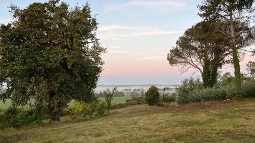 a field with two trees on a hill at Métairie de Moutiques in Cazaubon