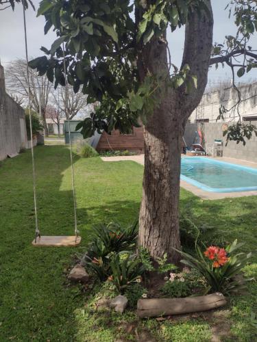 a tree in a yard with a swing and a pool at Ala de Colibri in Ramallo