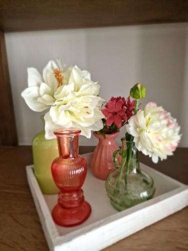 four vases sitting on a shelf with flowers in them at Luxe Studio Liemers in Lelystad