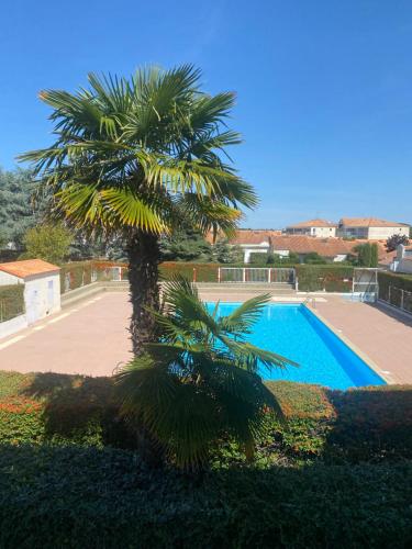 un palmier à côté d'une piscine dans l'établissement Appartement avec piscine 500m de la plage de Pontaillac, à Vaux-sur-Mer