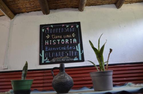 une table avec trois plantes en pot et un panneau sur un mur dans l'établissement Casamora, à Belén