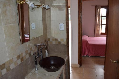 La salle de bains est pourvue d'un lavabo noir. dans l'établissement Cabaña Guadalupe, à Tupungato
