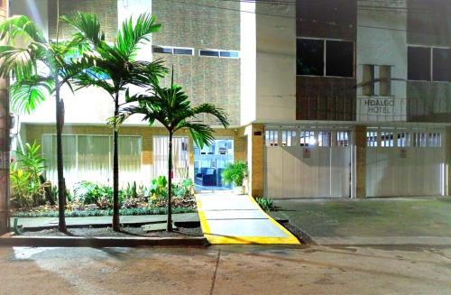 帕爾米拉的住宿－HIDALGO HOTEL，一座棕榈树建筑前方的建筑