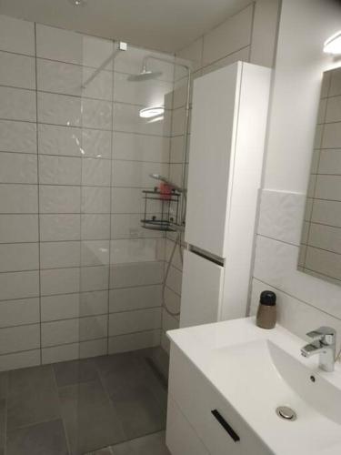 une salle de bain blanche avec un lavabo et une douche dans l'établissement appartement 2 T2 neuf et élégant proche zénith, à Pérignat-lès-Sarliève
