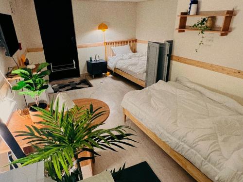 a bedroom with two beds and a potted plant at Jnineguesthouse in Seoul