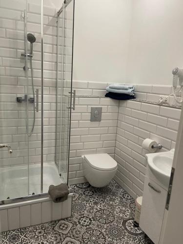 a bathroom with a shower and a toilet and a sink at Neu renoviert: 11 Zimmer mit großer Wohnküche, mitten in der Natur in Neu Gaarz
