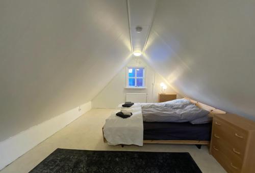 a bedroom with a bed and a window in a attic at Day Dream Mjostraeti 10a in Reykjavík