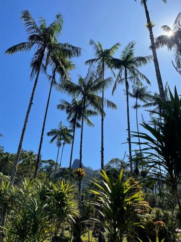 a group of palm trees in the sky at Casa da Pedra Serrinha in Resende