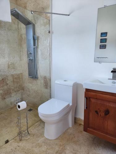 a bathroom with a white toilet and a sink at Bella Villa Roomy apartment at 5 min walk to the beach in Las Galeras