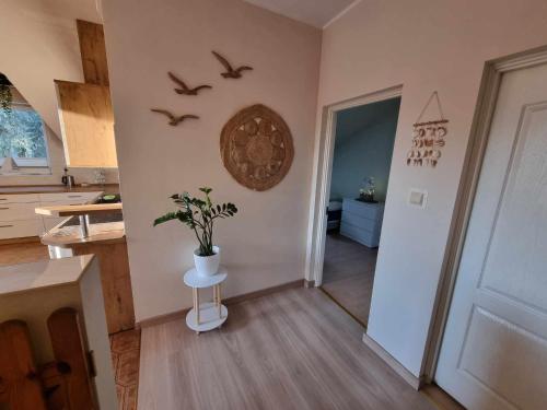 a kitchen with a potted plant and birds on the wall at Apartament Mewa Gdańsk in Gdańsk