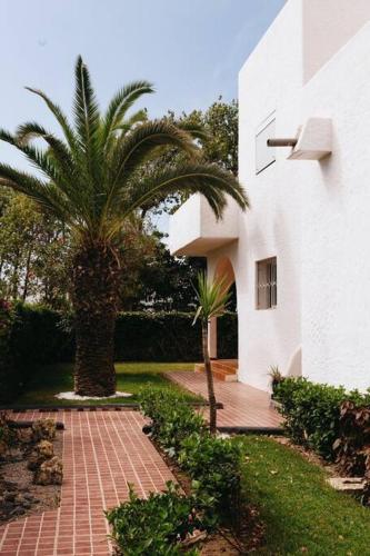 a palm tree sitting next to a white building at Villa Vue sur la Méditerranée in Cabo Negro