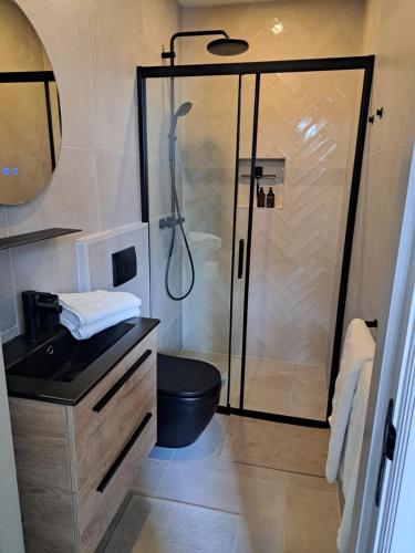 een badkamer met een douche, een toilet en een wastafel bij Bij Ons In Harlingen in Harlingen
