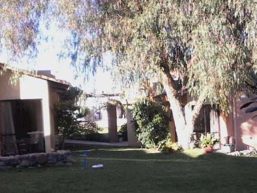 a house with a large tree in the yard at Hotel Altos de Tuqui in Ovalle