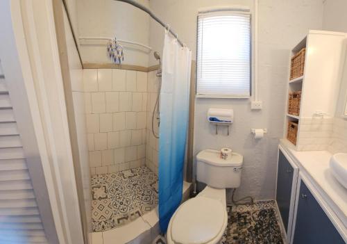 a bathroom with a toilet and a shower at Gloria's mini hideaway in Christ Church