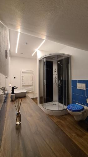 a bathroom with a glass shower and a toilet at Apartmán Malá Valaška in Ratiboř