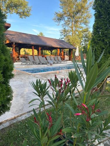 a resort with lounge chairs and a swimming pool at Dorul Pescarului in Curtea de Argeş