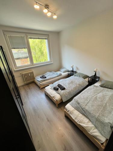 three beds in a room with a window at Free Wifi - Urban Oasis Rentals in Bratislava