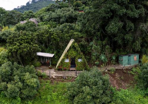 une petite maison au milieu d'une forêt dans l'établissement Earth Lodge, à Antigua Guatemala