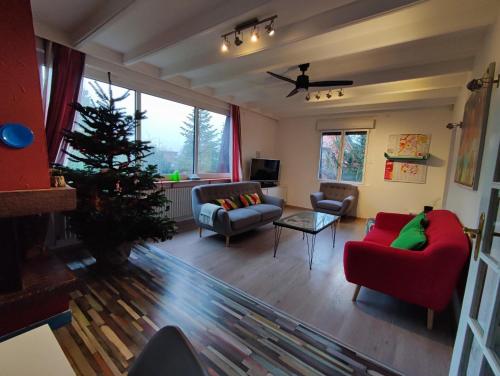 een woonkamer met een kerstboom en een rode bank bij Chemin des Vignerons in Metz