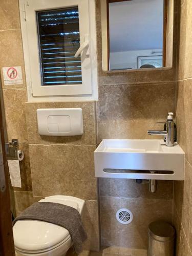 une petite salle de bain avec toilettes et lavabo dans l'établissement Studio à 200m du centre ville de Porto Vecchio., à Porto-Vecchio