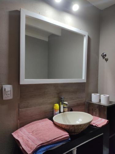 a bathroom with a sink and a large mirror at Apart Trelew 1 in Trelew